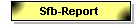 Sfb-Report